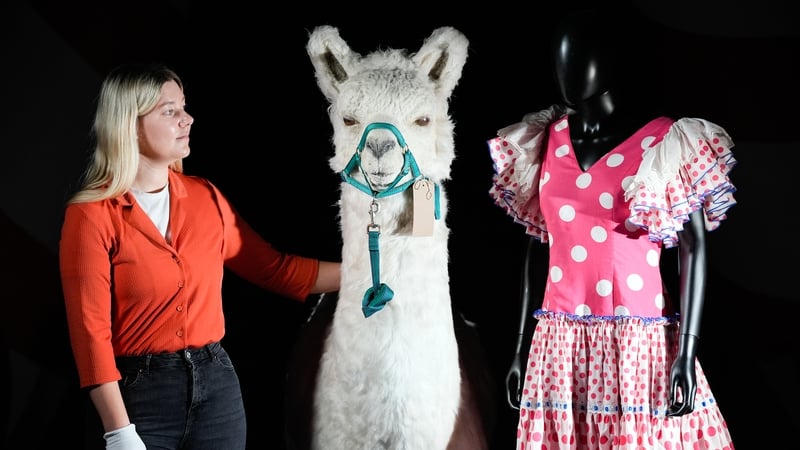 A Propstore employee looks at a llama and Carol Cleveland's dress from the Llamas sketch from the Monty Python Live (Mostly) stage show Photos: Press Association