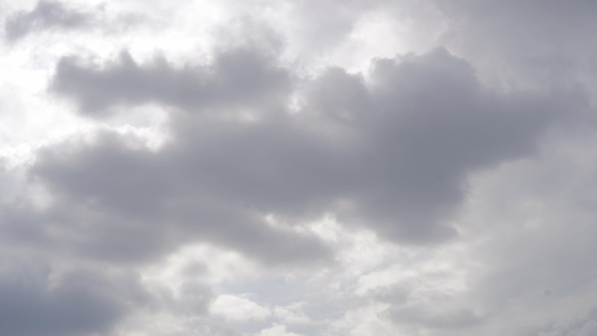 Weather Forecast