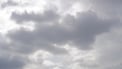 Weather Forecast Weather Forecast
