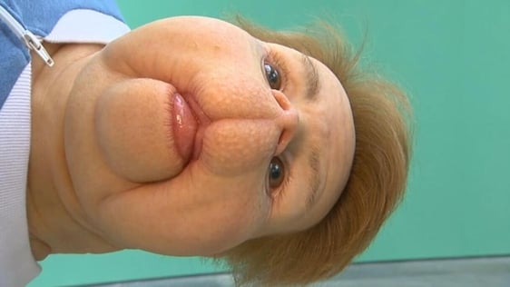 Work by Patricia Piccinini as part of her exhibition 'Relativity', 2015