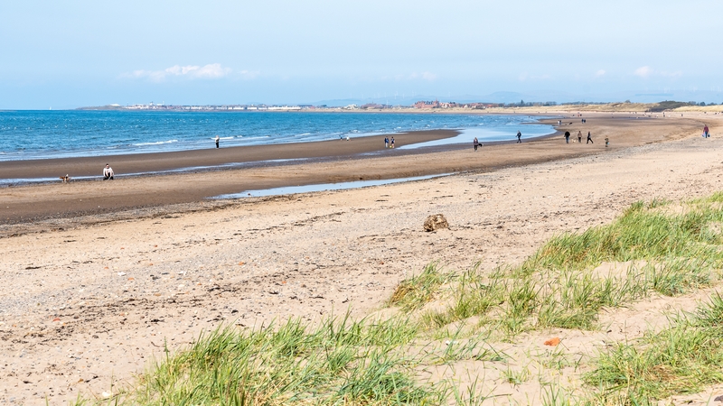 The limb was found on Prestwick beach on 10 June (file pic)
