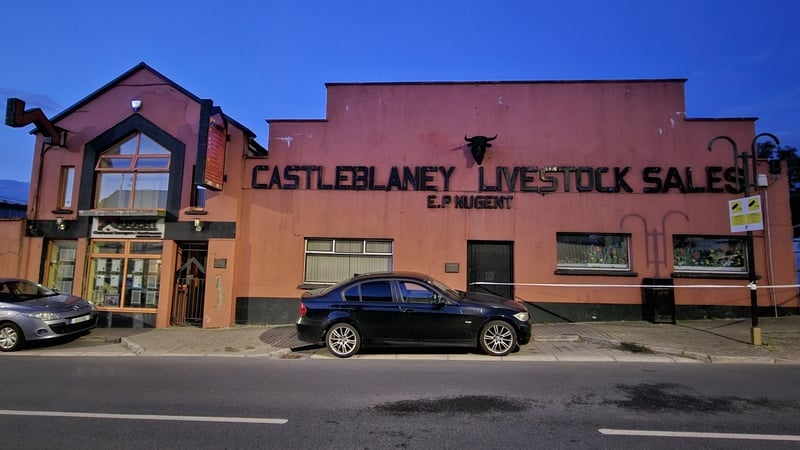 The services of the Army Explosive Ordnance Disposal Unit were requested and a cordon was established in the Muckno Street area of the town