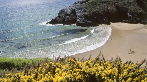 The wreck of Le Prince de Conty was discovered in 1974 near the island of Belle-Ille-en-Mer, off the coast of Brittany