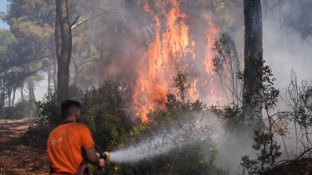 IZMIR, TURKIYE - JULY 04: Flames rise from burning trees while intervention continues against the fire that broke out in the forest area in Buca district of Izmir, Turkiye on July 04, 2025. (Photo by Hakan Akgun/Anadolu via Getty Images)