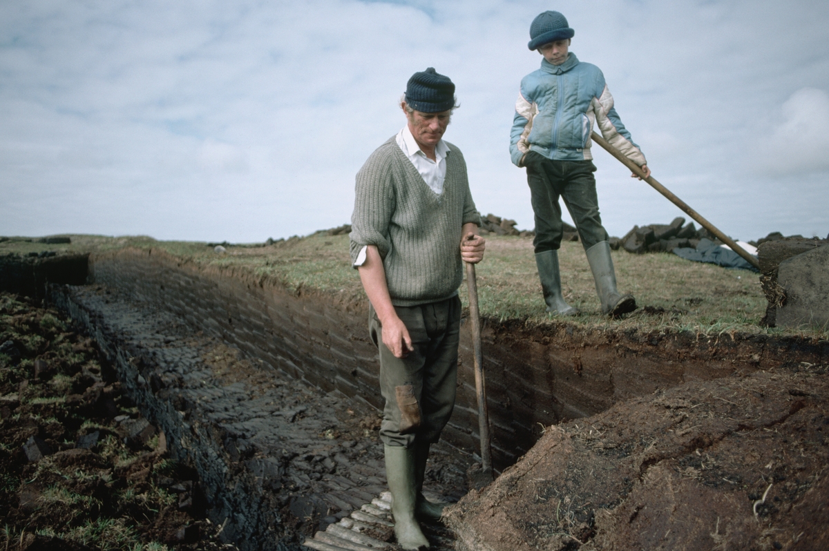 What's stopping young people from farming?