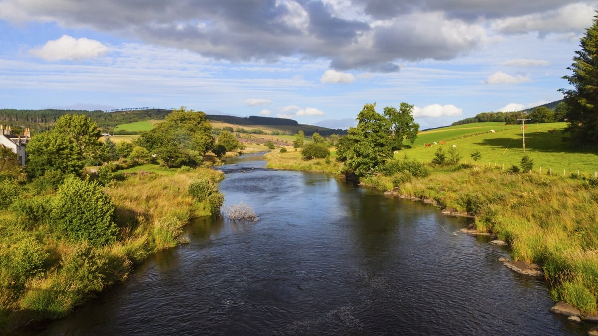 A river runs free