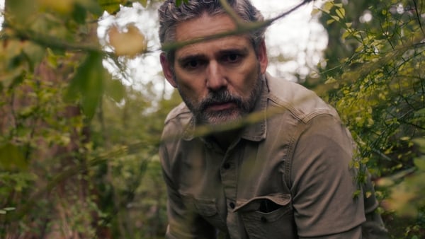 a person in a forest