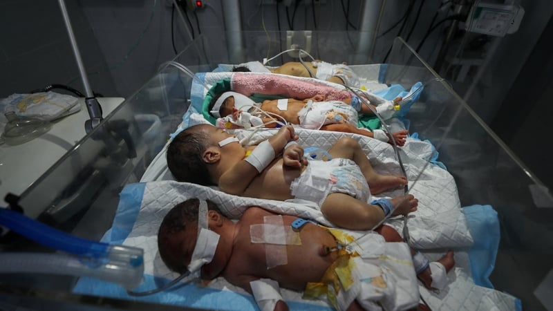 Palestinian newborns share an incubator at Al-Helou hospital due to fuel crisis