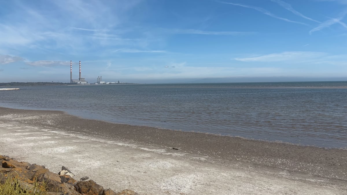 98% of Ireland's designated swimming points met or exceeded minimum standards last year