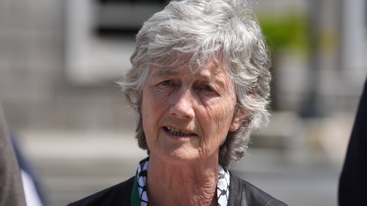 Presential candidate Catherine Connolly
