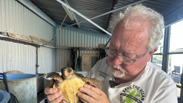 Dr Kevin Flannery of Dingle Oceanworld Aqarium holding a turtle