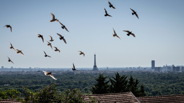 Pigeons fly over the French army's military dovecote with the Paris skyline and the Eiffel Tower in the background 