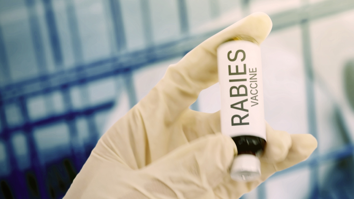Rabies death – Dr. Graham Fry on what causes the disease