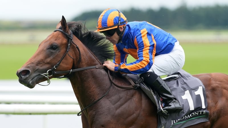 The Lion In Winter goes back up to a mile in the Jacques Le Marois