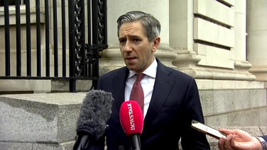 Ireland ‘at moment of major economic challenge’ - Tánaiste