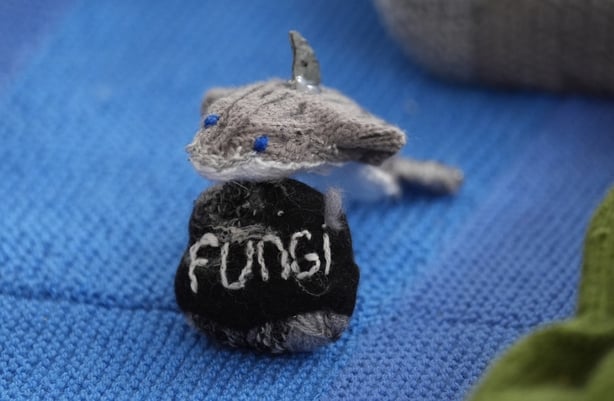 Fungi the Dolphin from Dingle which features on a knitted map of Ireland in Carnew Community Care centre in Carnew Co. Wicklow