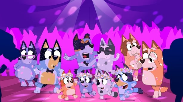 Bluey and the Heeler family dancing with disco lights at a wedding