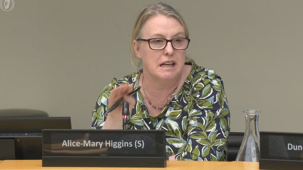 Alice Mary Higgins speaking at an Oireachtas Committee