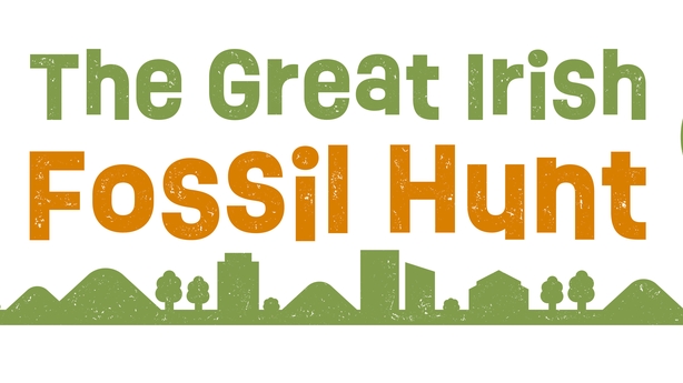 Logo for The Great Irish Fossil Hunt