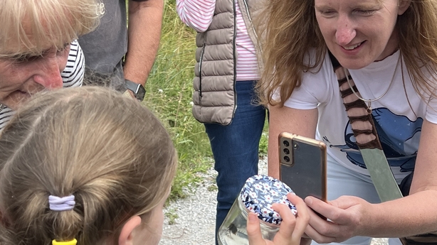 Harper's Island bee safari
