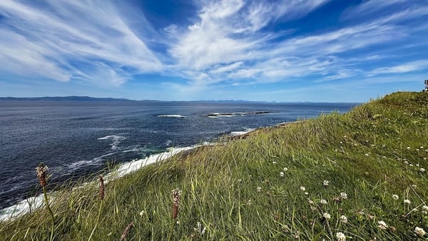 A coastal view from a grassy hill into the ocean with blue skies streaked with light clouds