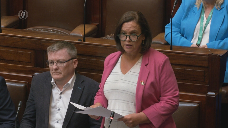 Mary Lou McDonald, called for a 'gold standard, multi-disciplinary centre for the treatment of endometriosis' in Ireland