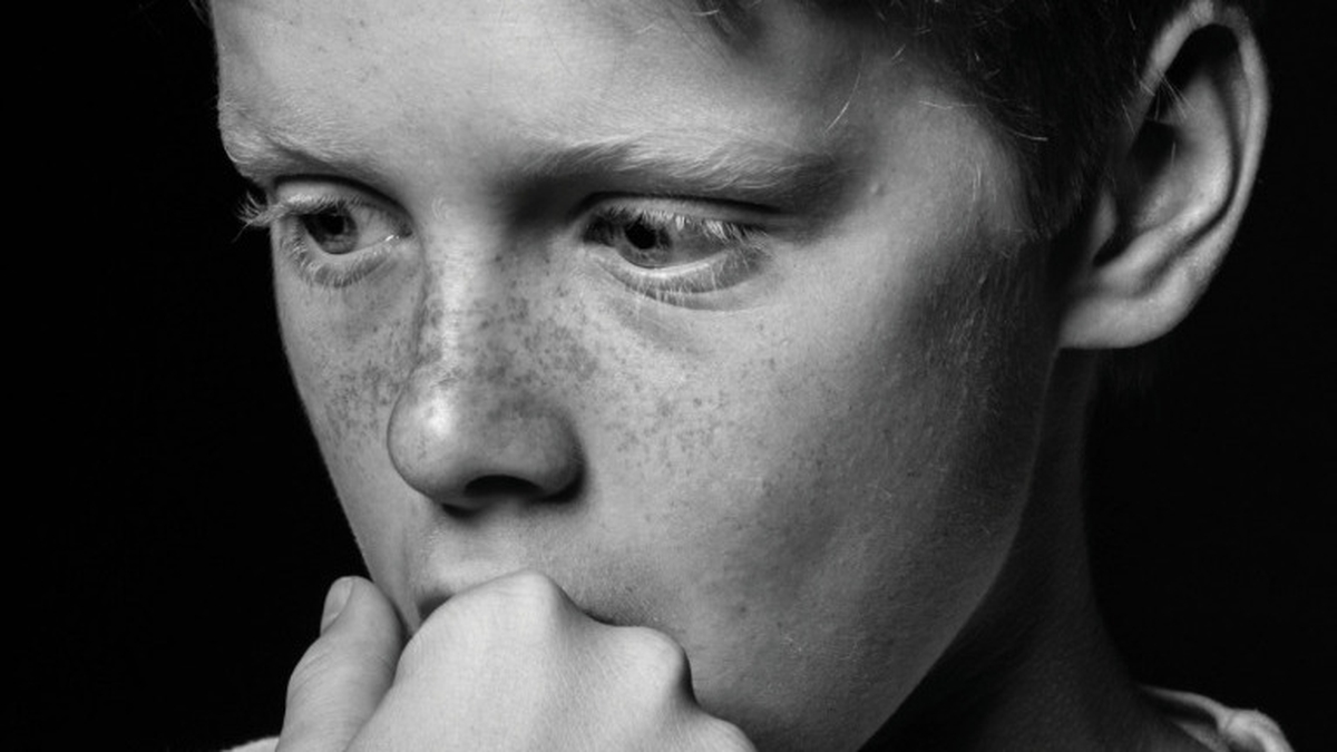 Camarade - Theo Dorgan 