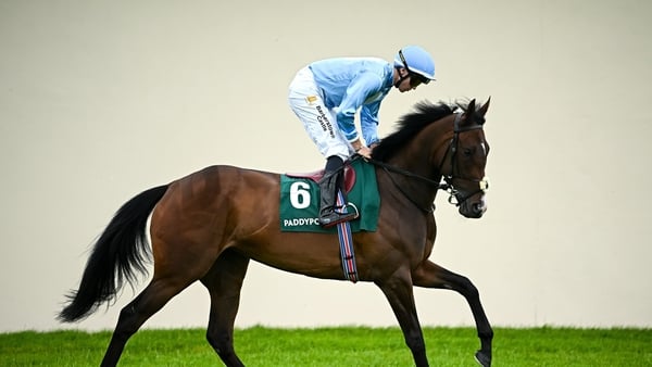 28 June 2025; Jockey Dylan Browne McMonagle and Wemightakedlongway go to post before the Paddy Power Pretty Polly Stakes during day two of the Dubai Duty Free Irish Derby Festival at The Curragh Racecourse in Kildare. Photo by Seb Daly/Sportsfile
