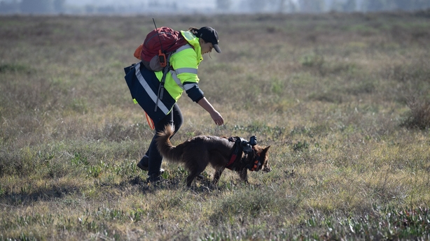 Dog-handler Esther Matthew, works with Collie dog, Delta, working as part of the Endangered Wildlife Trust's Dryland Conservation Project, to sniff out critically endangered Geometric tortoises on a private reserve in the Boland district of the Western Cape South Africa