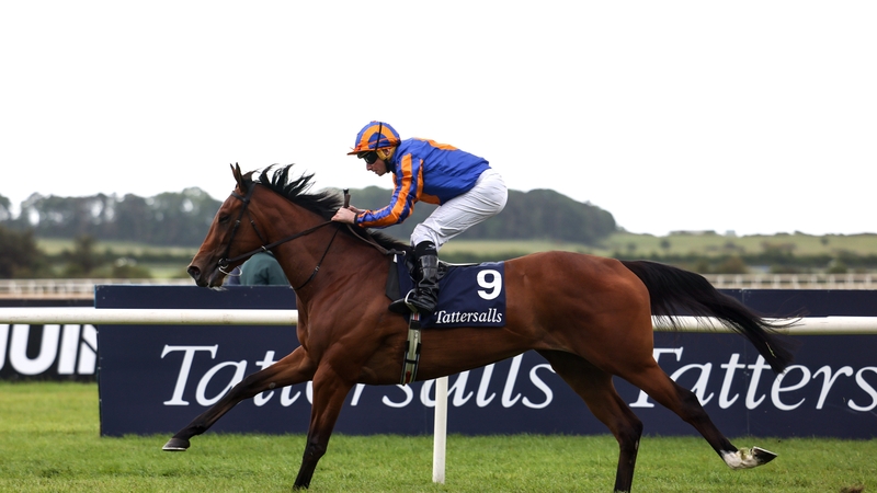 Lake Victoria winning the Fillies' Classic at the Curragh