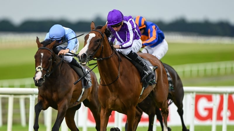 Minnie Hauk has enjoyed a lighter campaign than many of the Classic crop from Ballydoyle who take in the Arc