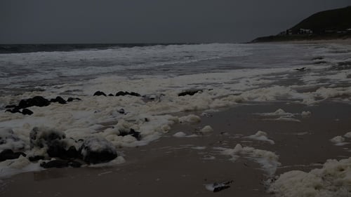 A toxic algal blooms onto Carrickalinga Beach on the Fleurieu Peninsula South of Adelaide