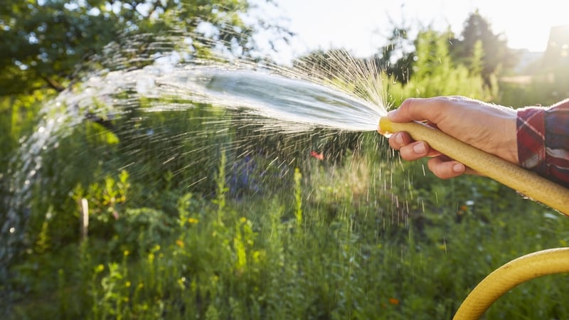 Uisce Éireann said the use of a hosepipe for one hour is the equivalent of the daily water usage for an average family