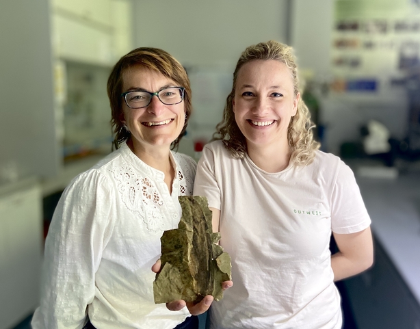 Triassic Fossil 2 - Prof Maria McNamara and Dr Valentina Rossi