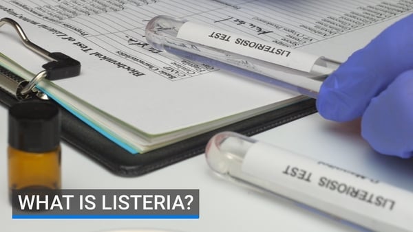 image shows a listeria test