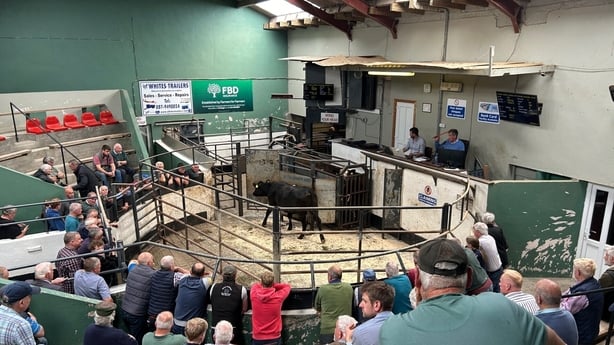 The Irish Farmer's Association (IFA) has launched its 2025 Farmer Health Check Programme at Ballymahon Livestock Mart in Longford.