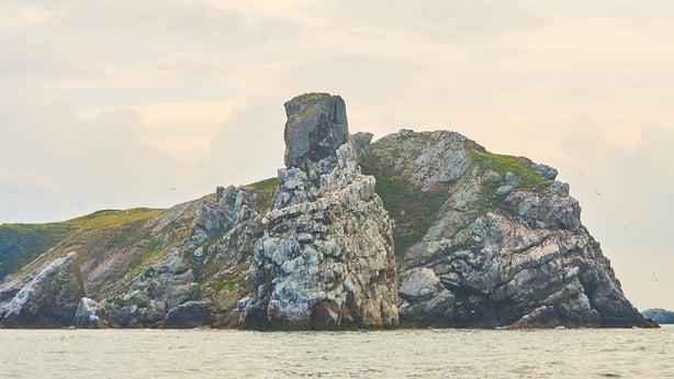 Beautiful island in the Irish Sea. Landscapes of Ireland. Lambay Island.Beautiful island in the Irish Sea. Landscapes of Ireland. Lambay Island.