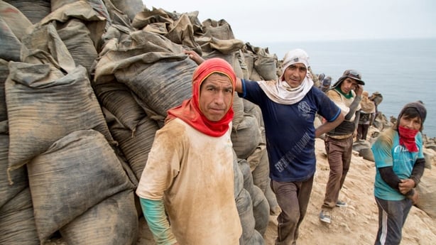 LIMA, PERU - NOVEMBER 03: Workers look on as extracting and loading guano to be used as fertilizer at one of the cliffs of the Asia Island on November 03, 2017 in Lima, Peru. The island is located 75km south of Lima and the work is under supervision of the National Service of Natural Protected Areas