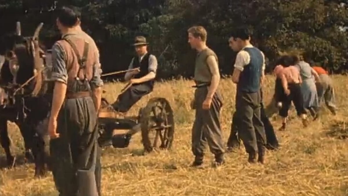 Celebrating the Celtic festival of Lúnasa with Vincent Woods