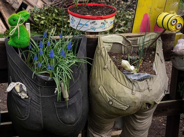 a pair of pants with plants in them