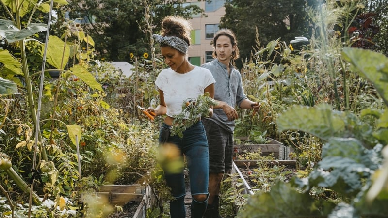 Having an allotment isn't just about growing fruit and veg; it's about physical and mental wellbeing and social connection.