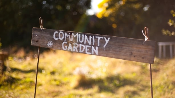 Homemade sign for a community garden, written on a plank of wood