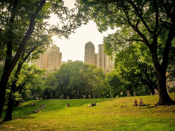 people sitting on grass in Central park in New York City