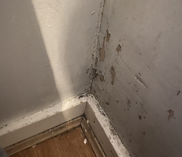 A view of damp and crumbling plasterwork in one of the flats at Pearse House