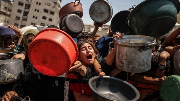 A young girl cries out as she is pushed against a fence by crowds hoping to receive food at a charity in Gaza
