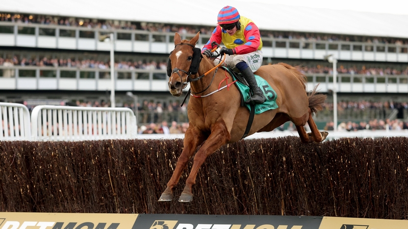 Danny Gilligan piloted Jazzy Matty to Grand Annual glory at Cheltenham in March