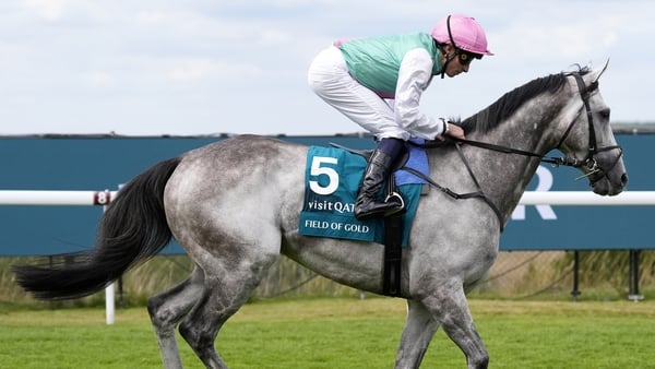 Field Of Gold ridden by William Buick before the Visit Qatar Sussex Stakes during Sussex Stakes Day at Goodwood Racecourse, Chichester. Picture date: Wednesday July 30, 2025.