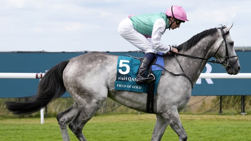 Field Of Gold was discovered to be lame after his defeat in the Sussex Stakes