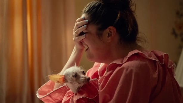 a person holding a dog