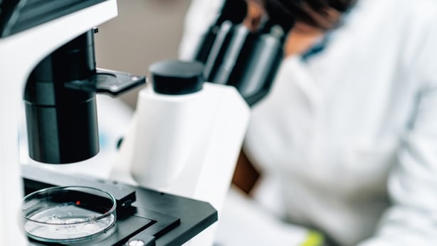 A woman looks through a microscope in a laboratory setting